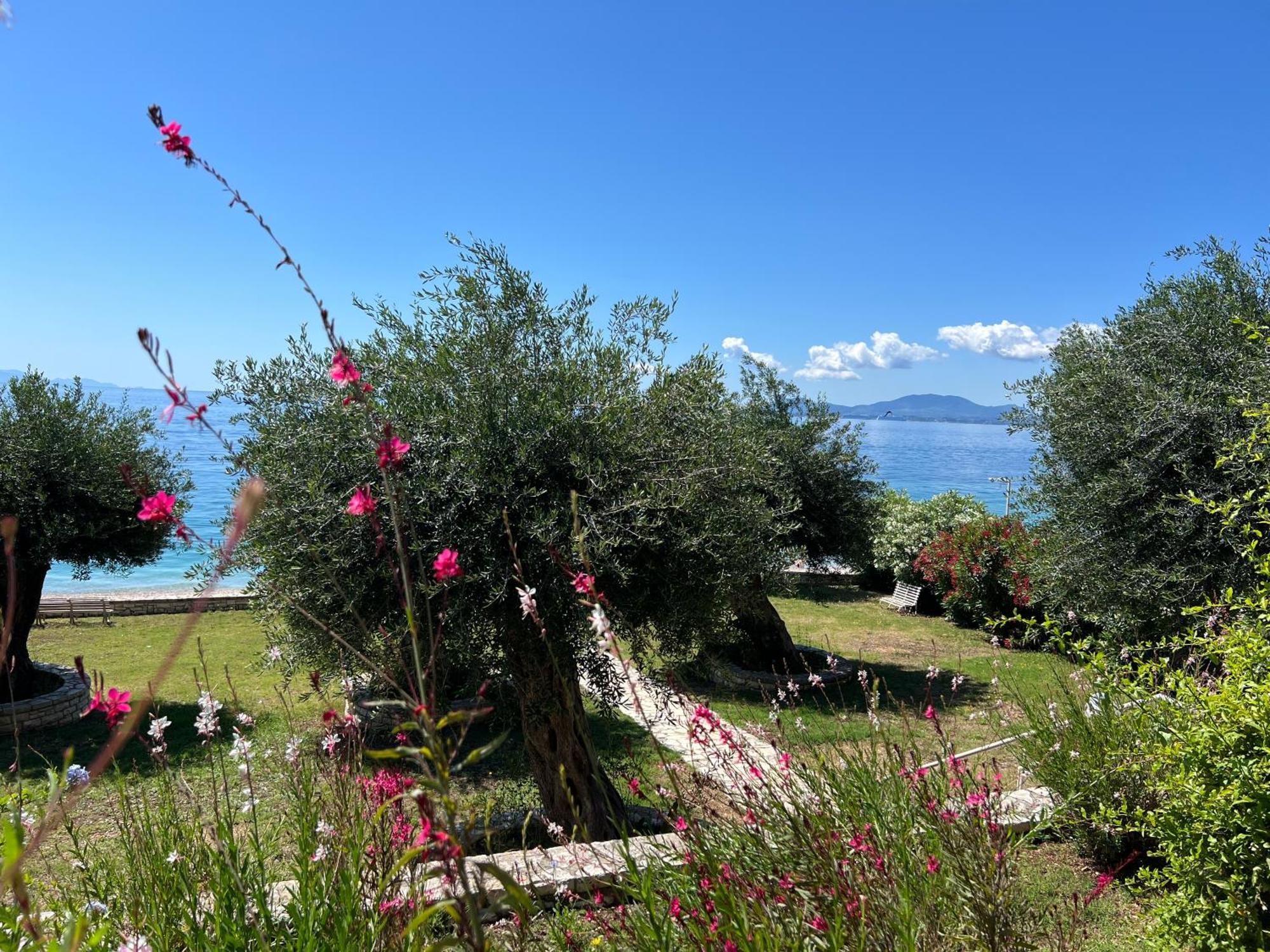 Nissaki Bay Leilighet Nisaki  Eksteriør bilde